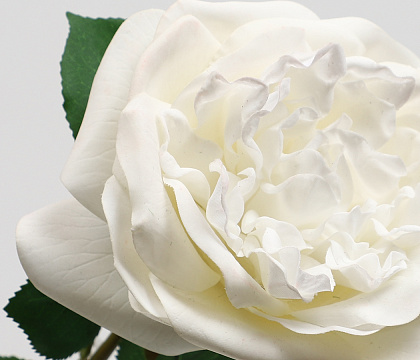 Цветок искусственный декоративный "Роза Остина", H65*D14 см., белый