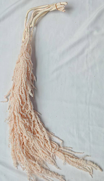 Сухоцвет "Амарантус", длина 90-110 см, 5 шт. светло-розовый