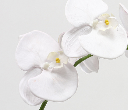 Цветок искусственный декоративный "Орхидея", 90 см., 8 соцветий, белый