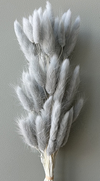 Сухоцвет "Лагурус", 60 шт в пучке, разм. цветка 5-7 см, нежно-серый.