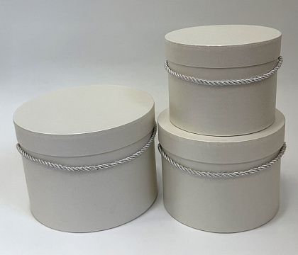 Набор коробок с ручкой 19,7x14,5 см, 17,2x13 см, 14,6x11,3 см, белый