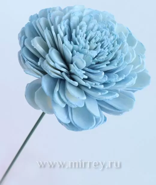 Цветы мелкие голубые - 69 фото
