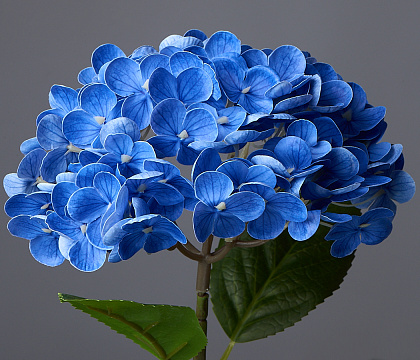 Цветок искусственный декоративный ''Гортензия" 65*18 см, 1 шт., голубой